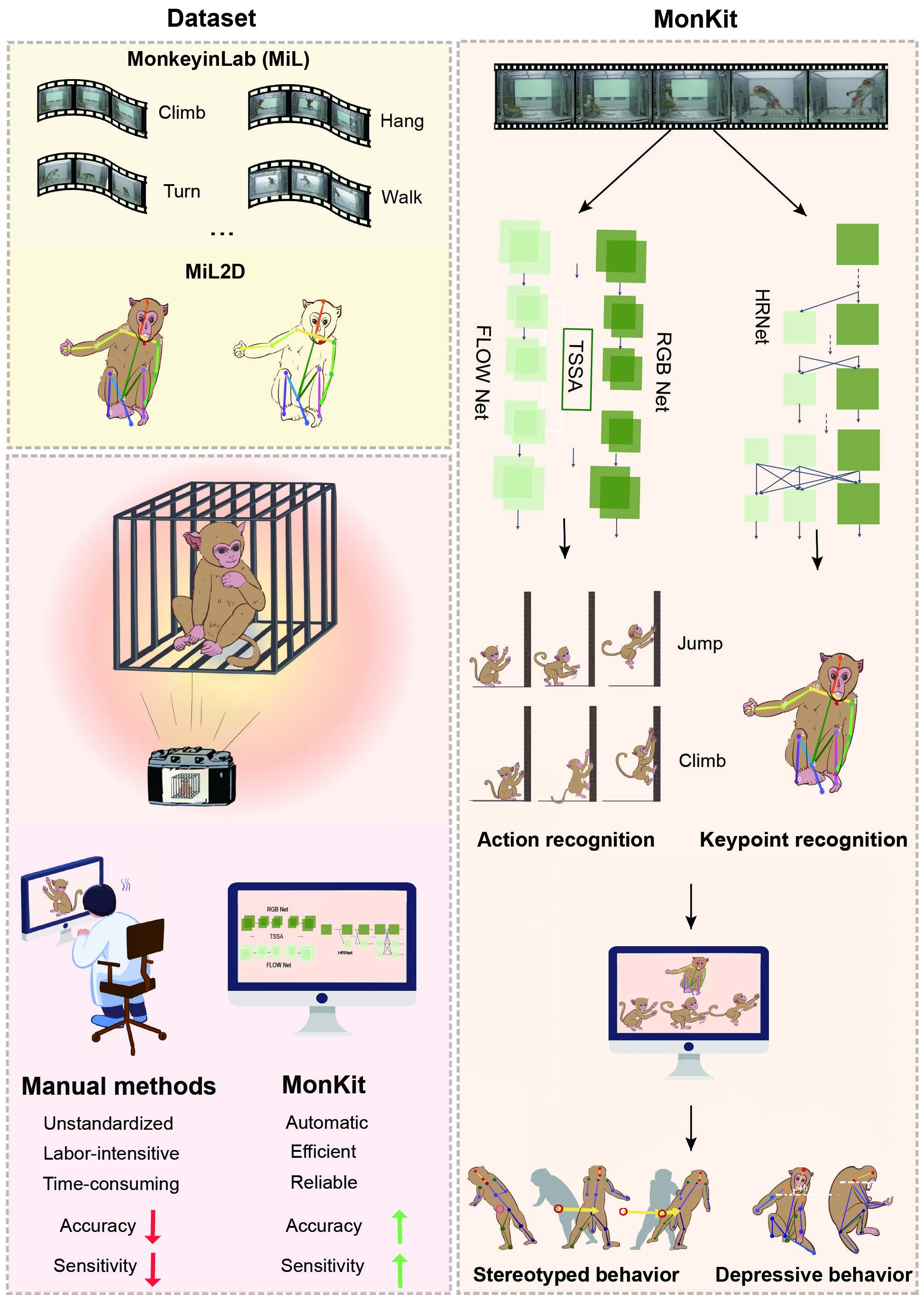 Deep learning based activity recognition and fine motor  