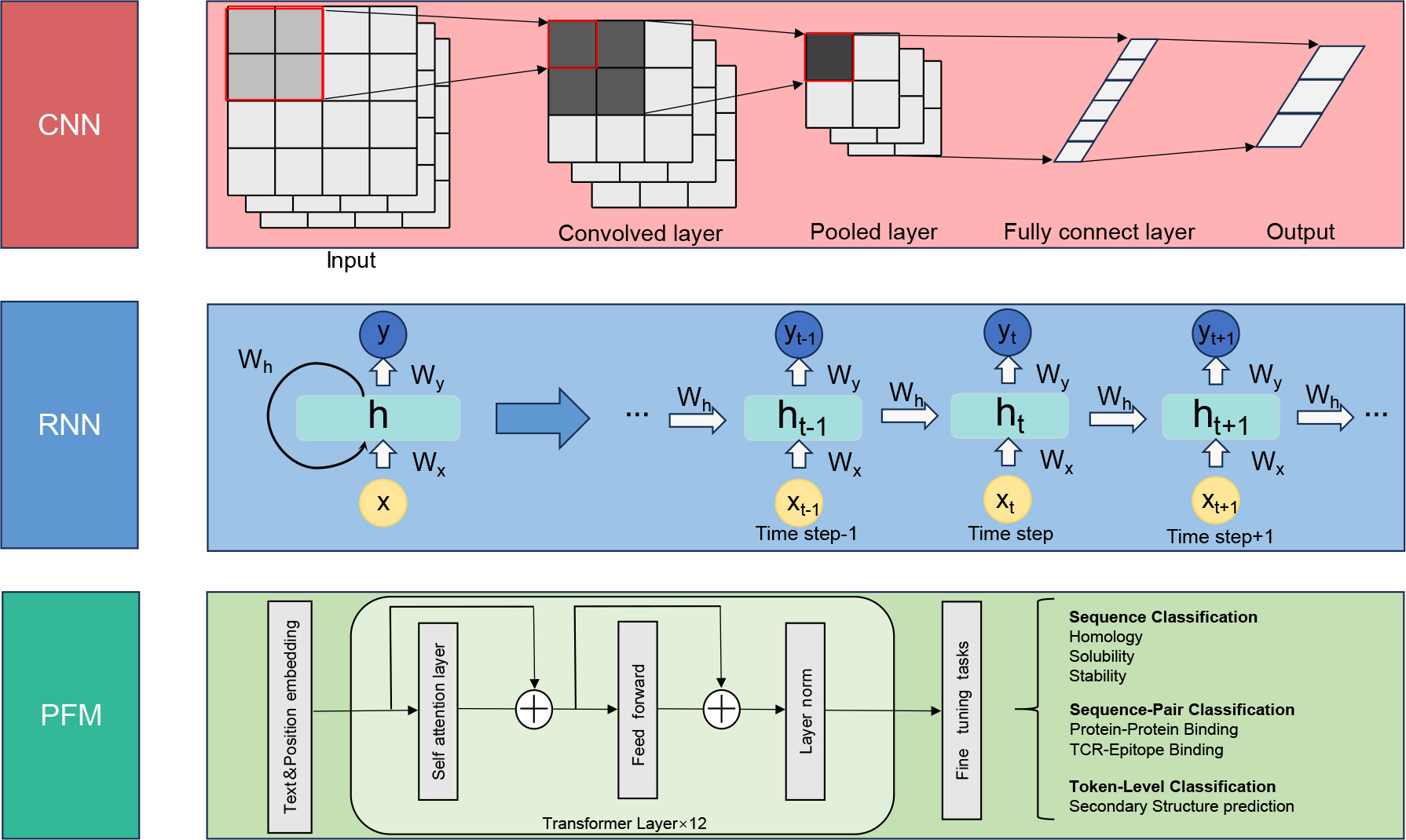 From beasts to bytes: Revolutionizing zoological research with 